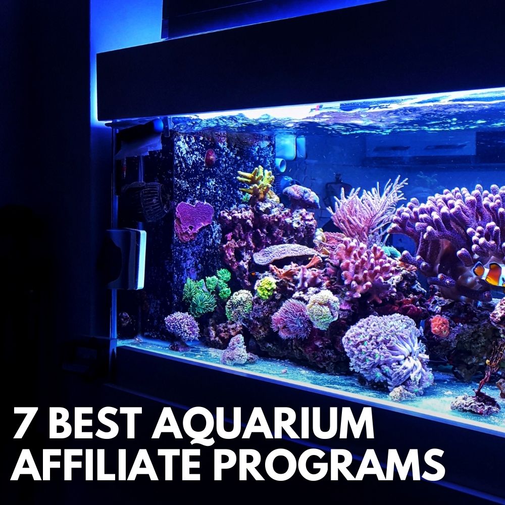 Best Aquarium Affiliate Programs