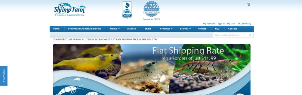 The Shrimp Farm Website Screenshot