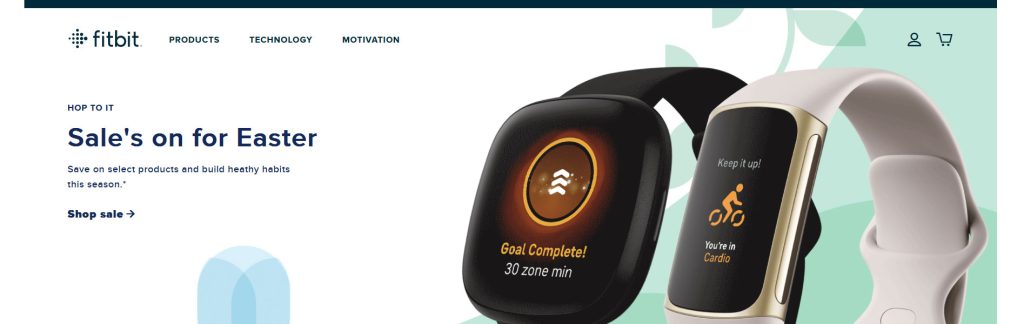 Fitbit Website Screenshot