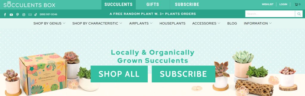 Succulents Box Website Screenshot