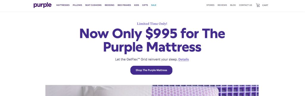 Purple Website Screenshot