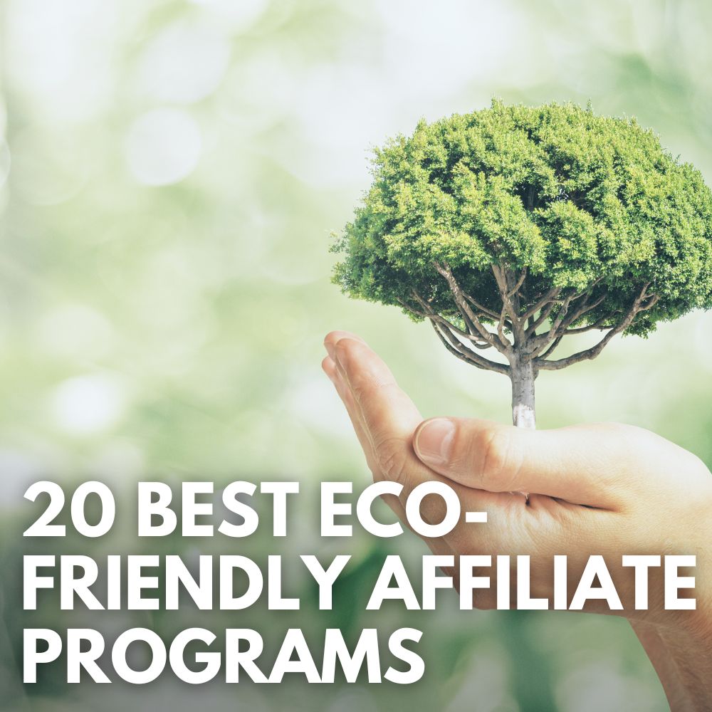 16 Best Eco-Friendly Affiliate Programs in 2024 (Top Offers)