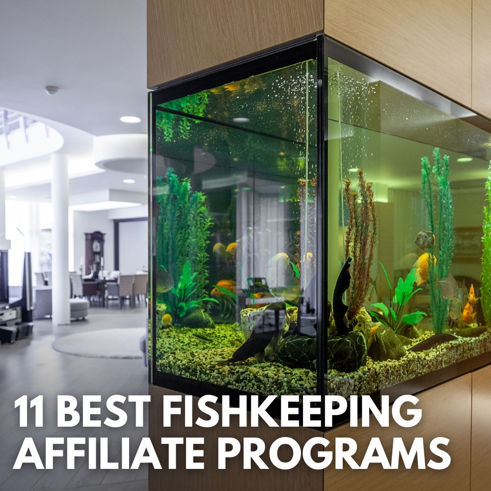 Best Fishkeeping Affiliate Programs