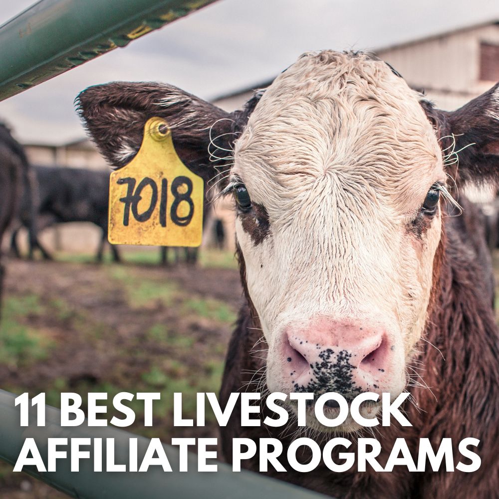 Best Livestock Affiliate Programs