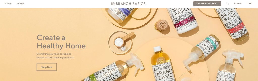 Branch Basics Website Screenshot