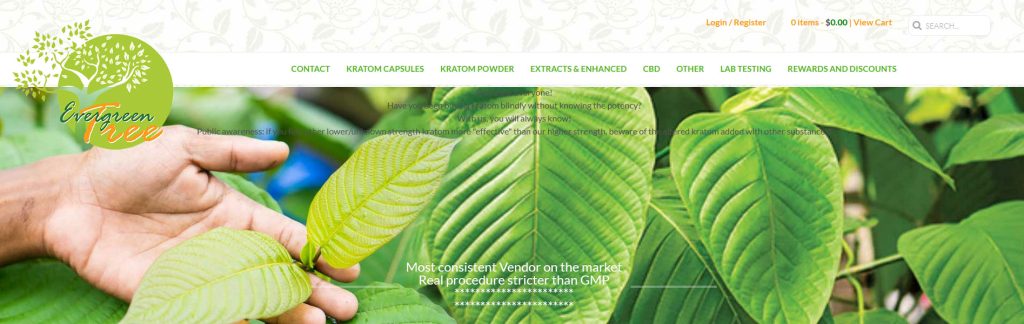 The Evergreen Tree Website Screenshot