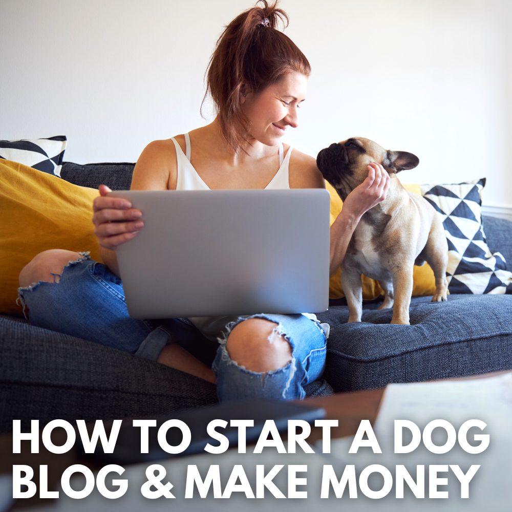 how to start a dog blog