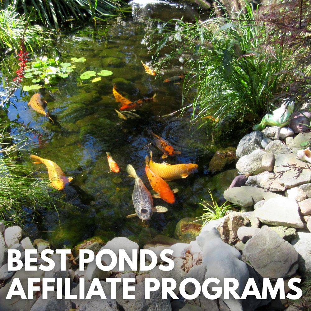 Best Ponds Affiliate Programs