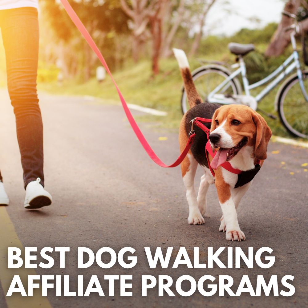 Best Dog Walking Affiliate Programs