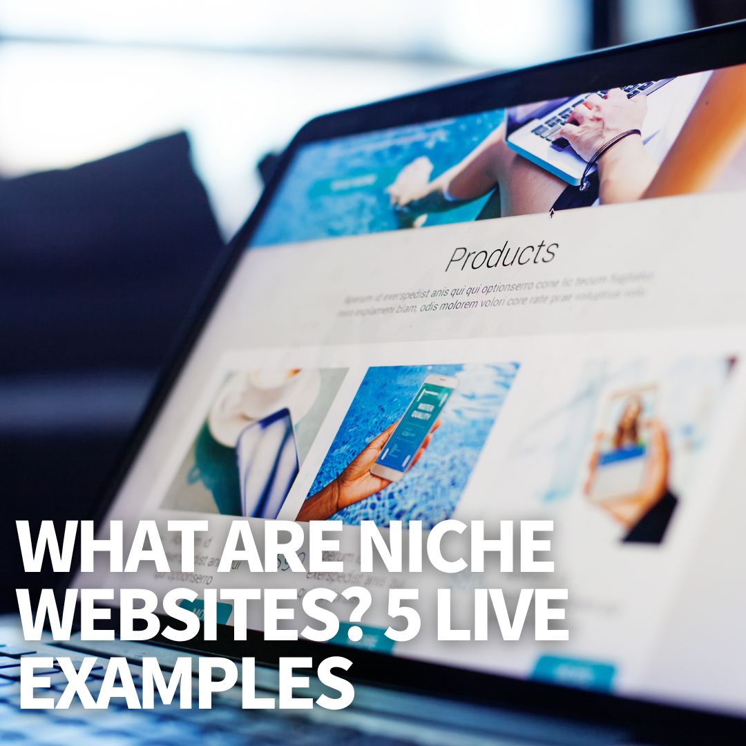 What Are Niche Websites?